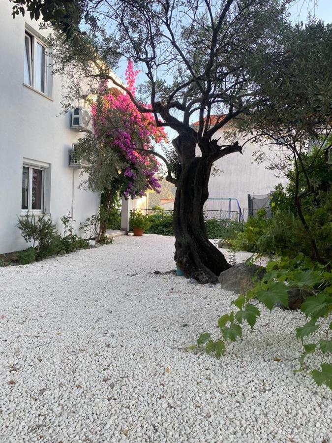Olive Garden Apartments Poljica  외부 사진